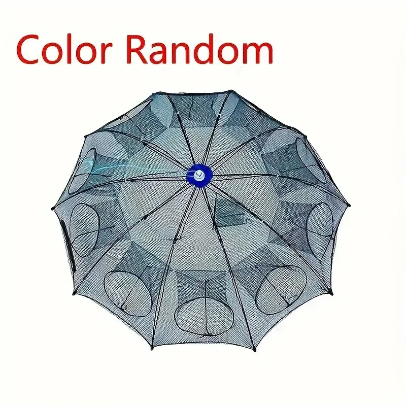 d3660c2f-51e8-473e-a3db-a0b553ad70c9.webp