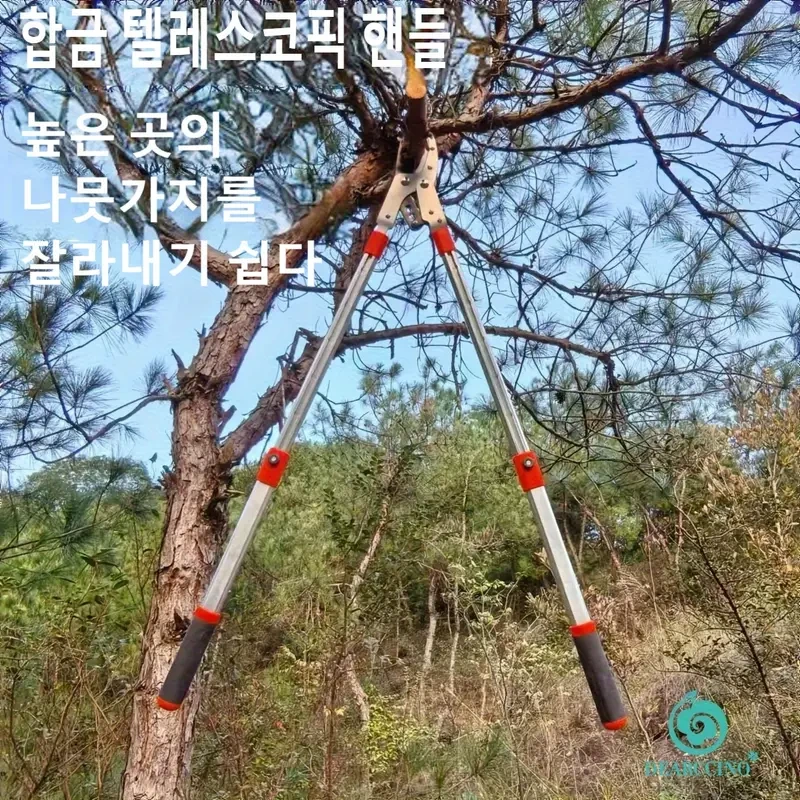 8c130313-83c8-4545-8bc8-41fb57a3ecbe_1280x1280.webp