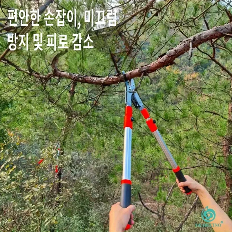 795af769-6f1a-4a4d-aa9b-1aebd437e53a_1280x1280.webp