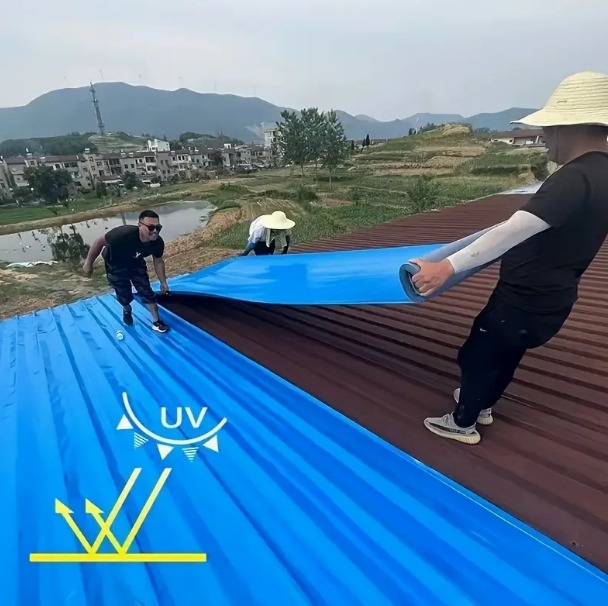 屏幕截图_8-9-2025_114231_www.temu.com.jpeg
