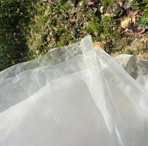 屏幕截图_9-9-2025_113458_www.temu.com.jpeg